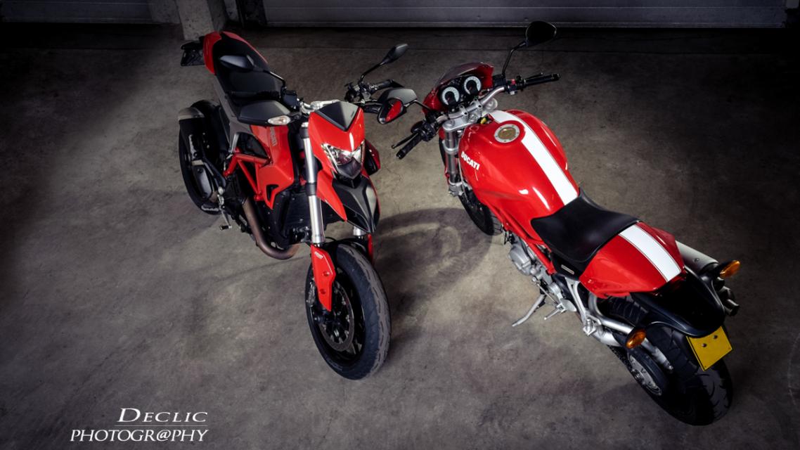 studio photo Monster Ducati 